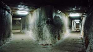 Imagem da matéria: Porque a Mineração do Bitcoin Cash não Deve Afetar Muito o Bitcoin