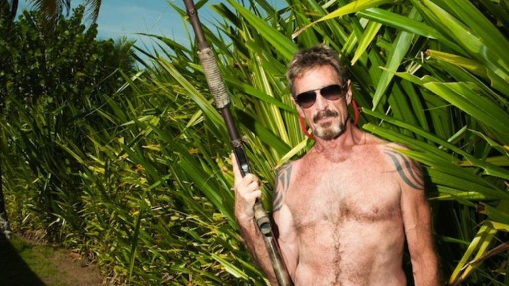 Imagem da matéria: US$ 1 Milhão: John McAfee Aumenta sua Previsão do Bitcoin para 2020