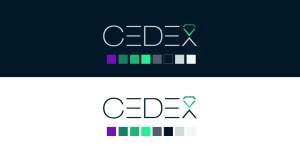 Imagem da matéria: Entrevista com a CEDEX