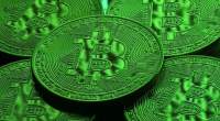 Imagem da matéria: Bitcoin Cash Sobe 20% em Meio à Consolidação no Mercado