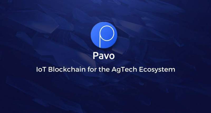 Imagem da matéria: Pavo Mostra Instalações na Califórnia de sua Solução de Blockchain IoT para Agricultura