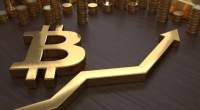 Imagem da matéria: “A Grande Alta do Bitcoin Está Chegando”, diz John McAfee