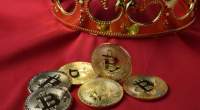 Imagem da matéria: Bitcoin amplia fatia do mercado de criptomoedas após semanas de queda geral