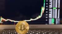Imagem da matéria: Bitcoin pode ter alta de 45% e bater US$ 12.000 em breve, diz trader