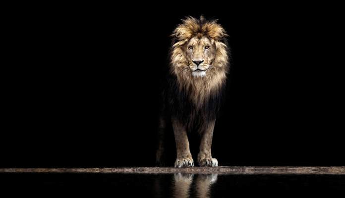 Imagem da matéria: Receita Federal vai obrigar exchanges brasileiras a reportar todas as operações