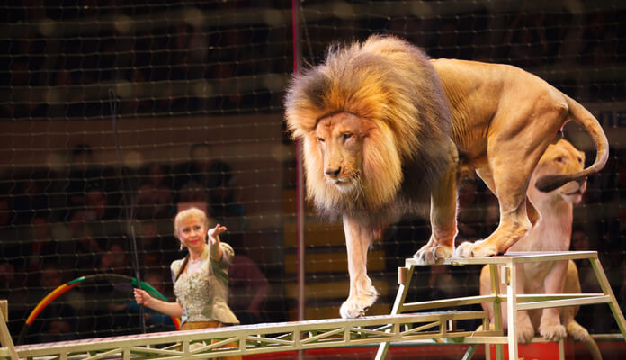 Imagem da matéria: Imposto de Renda 2020: Portal do Bitcoin lança ebook gratuito sobre como declarar criptomoedas