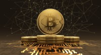 Imagem da matéria: Lidar com bitcoin e outros criptoativos é caminho sem volta, aponta economista