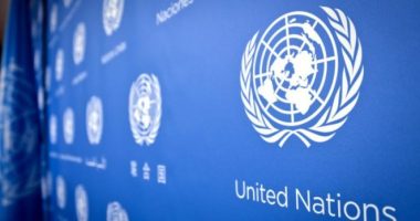 Rede de inovação da ONU tem vaga para observadores voluntários em grupo sobre blockchain