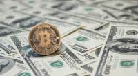 Imagem da matéria: Governo dos Estados Unidos vai leiloar 6,7 bitcoins na próxima segunda