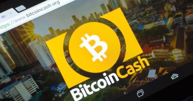 Imagem da matéria: Bitcoin Cash sobe 13% após bitcoin romper os US$ 24 mil