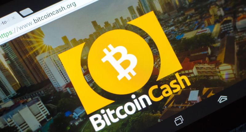 Imagem da matéria: Bitcoin Cash sobe 13% após bitcoin romper os US$ 24 mil