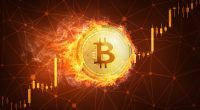 Imagem da matéria: Bitcoin (BTC) dispara e encosta nos US$ 60 mil pela primeira vez em cinco meses