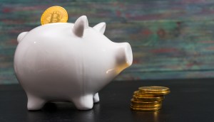 Imagem da matéria: Devo investir em bitcoin depois do recorde de preço? Especialistas respondem