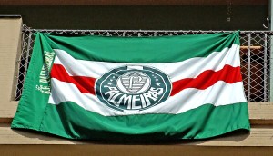 Imagem da matéria: Mercado Bitcoin lista fan token oficial do Palmeiras