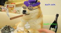 Imagem da matéria: Dogecoin valoriza 20% em um dia e quase encosta em sua máxima histórica