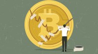 Imagem da matéria: Traders compram bitcoin a US$ 6 mil por erro em corretora e empresa pede reembolso