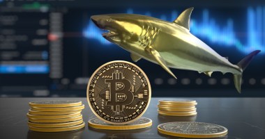 Imagem da matéria: Sardinhas acumulam mais bitcoin, enquanto baleias descansam, diz relatório