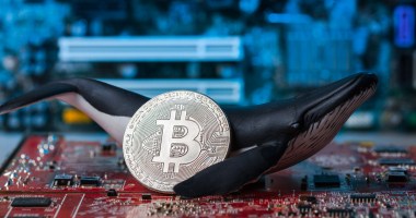 Imagem da matéria: Baleias compraram mais de 90.000 bitcoins em abril