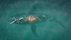 Imagem da matéria: Baleia da "era Satoshi" vende Bitcoin após 10 anos, mas ainda possui R$ 411 milhões