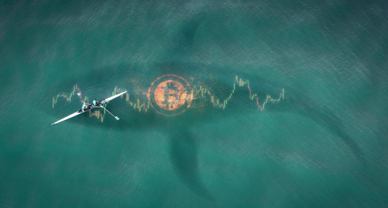 Imagem da matéria: Baleias movimentam US$ 1 bilhão em bitcoin em sete transações