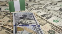 Imagem da matéria: Banco Central da Nigéria promete bônus para quem enviar dólares via bancos tradicionais