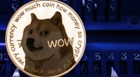 Imagem da matéria: As pessoas vão perder interesse por Dogecoin, diz bilionário Mike Novogratz