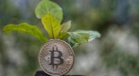 Imagem da matéria: Empresa listada na Bolsa de Londres vai minerar bitcoin com energia sustentável no Canadá