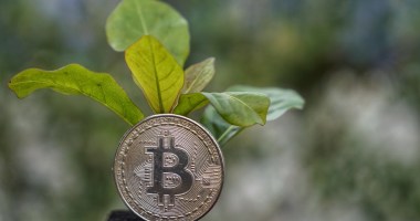 Imagem da matéria: Empresa listada na Bolsa de Londres vai minerar bitcoin com energia sustentável no Canadá