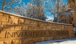 Imagem da matéria: Universidade americana vai fazer staking de criptomoedas para gerar receita