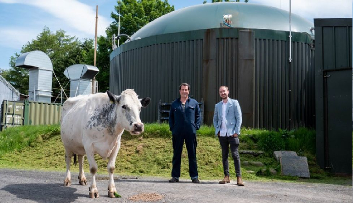 Imagem da matéria: Fazendeiro do Reino Unido usa esterco de vaca em mineração de ethereum