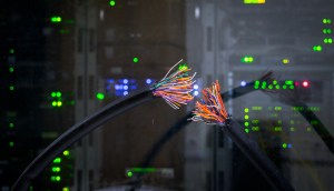 Imagem da matéria: Bug escondido no maior mercado de NFTs do mundo dá prejuízo de US$ 100 mil a usuários