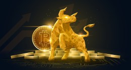 Imagem da matéria: Como investir em criptomoedas durante um Bull Market | Opinião