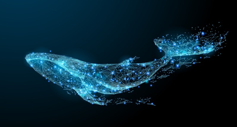 Imagem da matéria: Baleia transfere R$ 700 milhões em Ethereum para a Binance