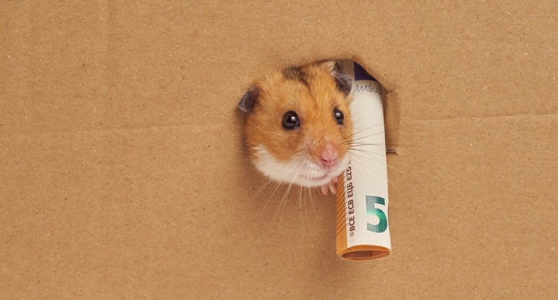 Imagem da matéria: Experimento mostra hamster fazendo trade de criptomoedas — e lucrando