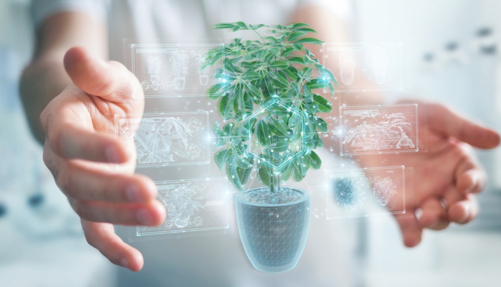 Imagem da matéria: Como os tokens podem causar um impacto positivo para o meio ambiente e a sociedade