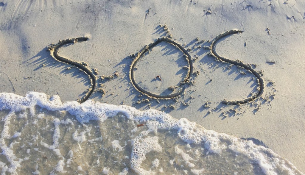 Imagem da matéria: Token SOS distribuído a usuários do OpenSea já despencou 64% desde o natal