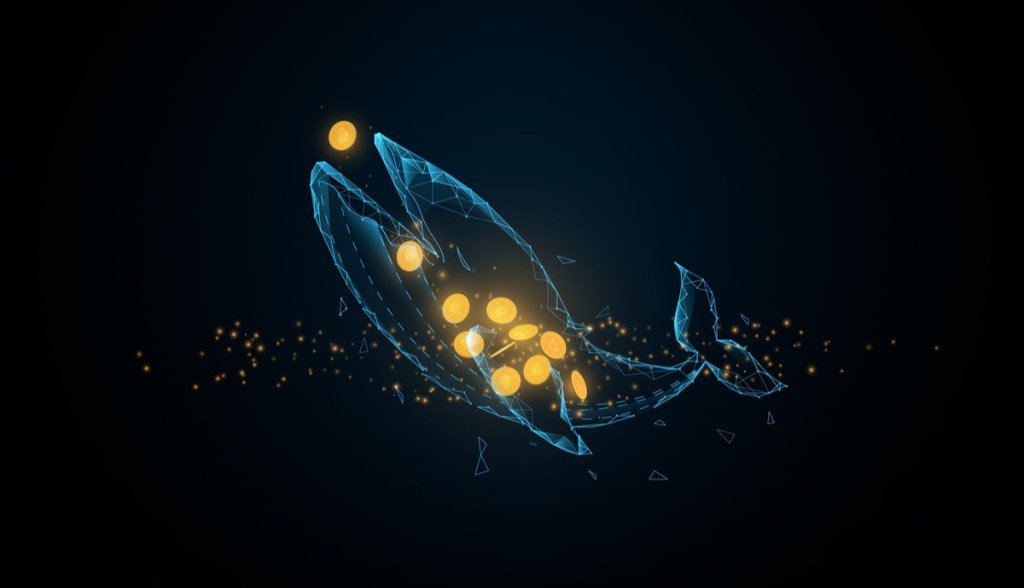 Imagem da matéria: Empresa de inteligência revela quem é a misteriosa terceira maior baleia de Bitcoin do mundo