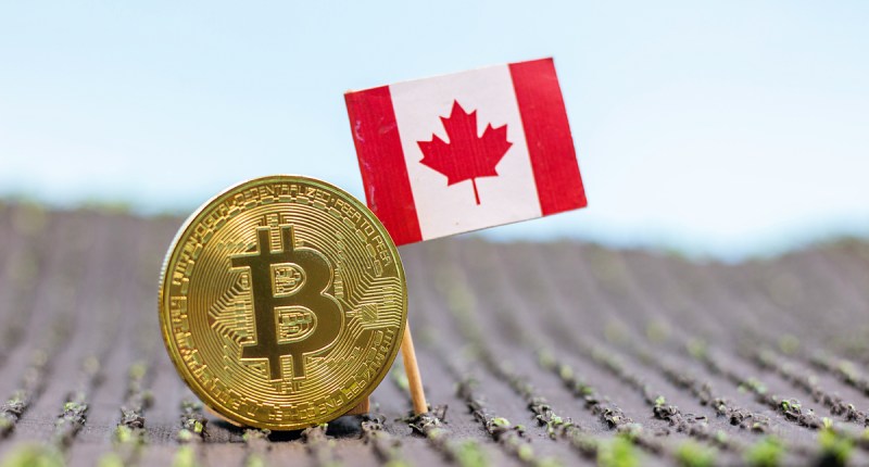 Imagem da matéria: Binance contrata dois ex-reguladores para fortalecer presença no Canadá
