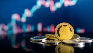 Imagem da matéria: Shiba Inu (SHIB) decola 16% com rumor de listagem e Bitcoin (BTC) se consolida em US$ 43 mil
