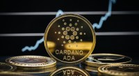 Imagem da matéria: Cardano (ADA) opera em alta de mais de 10%; Bitcoin (BTC) e restante do mercado em baixa
