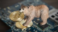 Imagem da matéria: Traders de opções de bitcoin estão pessimistas com o mercado de criptomoedas, diz estudo