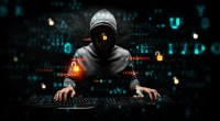 Imagem da matéria: "Fui roubado": Hackers têm acesso a chaves privadas de investidor de NFTs