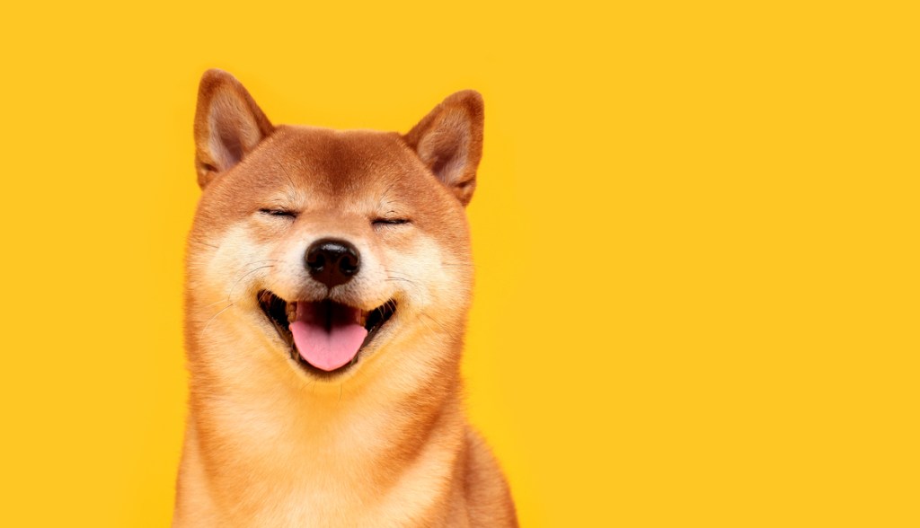 Imagem da matéria: Shiba Inu (SHIB) anuncia entrada no metaverso e rival da Dogecoin (DOGE) dispara