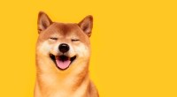 Imagem da matéria: Shiba Inu (SHIB) anuncia entrada no metaverso e rival da Dogecoin (DOGE) dispara
