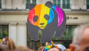 Imagem da matéria: WWF desiste de lançar NFTs devido a críticas sobre impacto ao meio ambiente