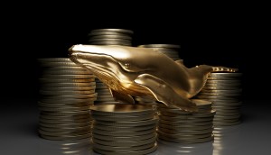 Baleia dourada envolto a moedas de bitcoin