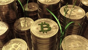 Imagem da matéria: Consumo de energia na mineração de Bitcoin tem queda de 25% em um ano, aponta estudo