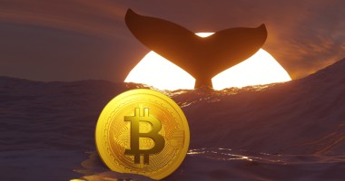 Ilustração de baleia mergulhando - à frente uma moeda de bitcoin, ao fundo o Sol
