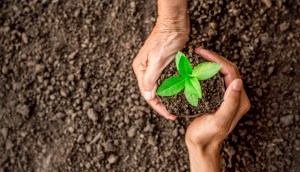 Imagem da matéria: MB anuncia listagem do token BBLL para transformar ativos ambientais em soluções financeiras sustentáveis