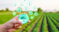 Imagem da matéria: O potencial da tecnologia blockchain para o agronegócio